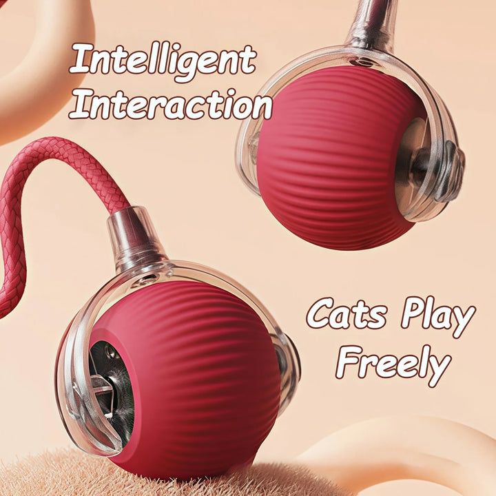 Interactive Cat Toy Ball with Fake Tail - Electric Toy