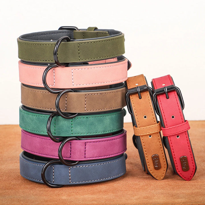 Large dog collar, soft padded collar, durable