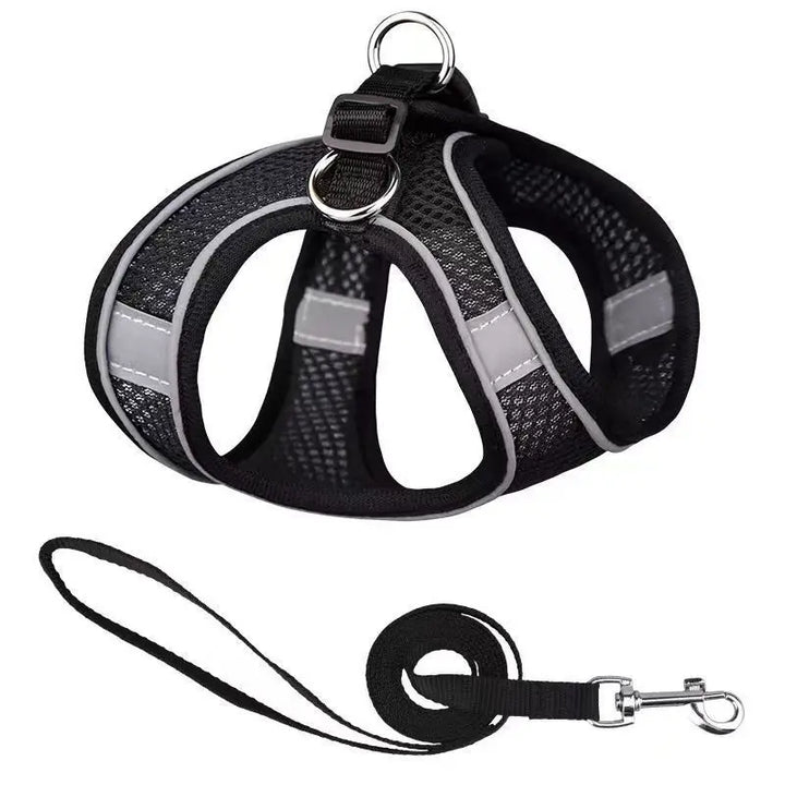 Adjustable Dog Collar and Harness Set for Small Dogs