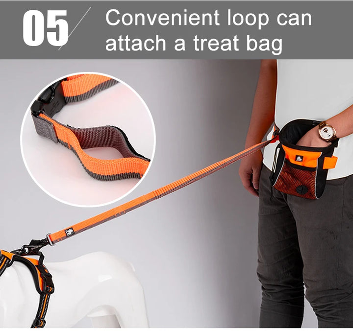 Truelove Pet Running Bungee Leash Hands Free