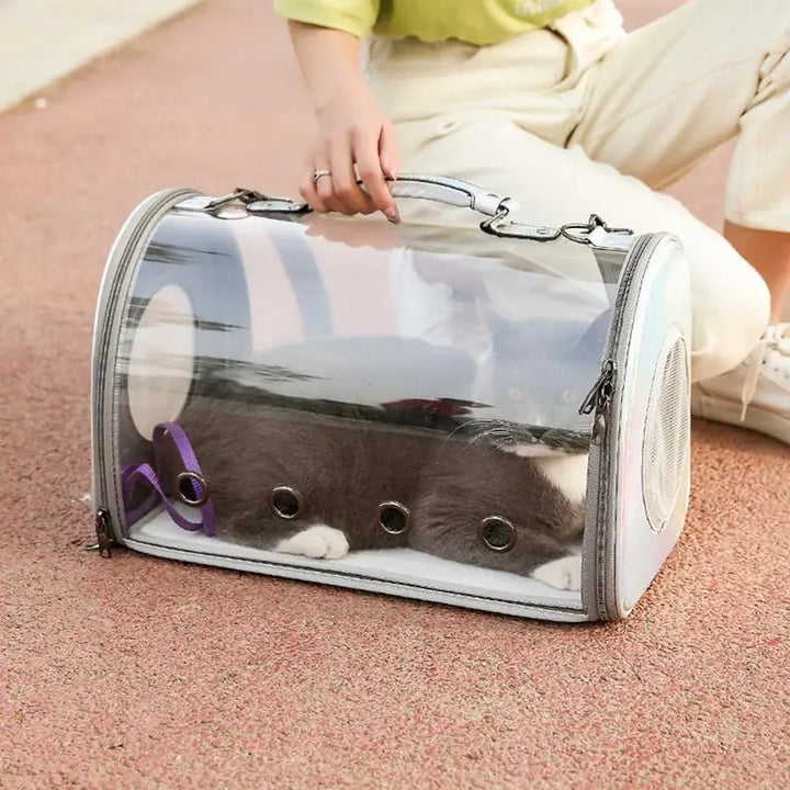 Transparent Pet Backpack – Breathable & Carrier