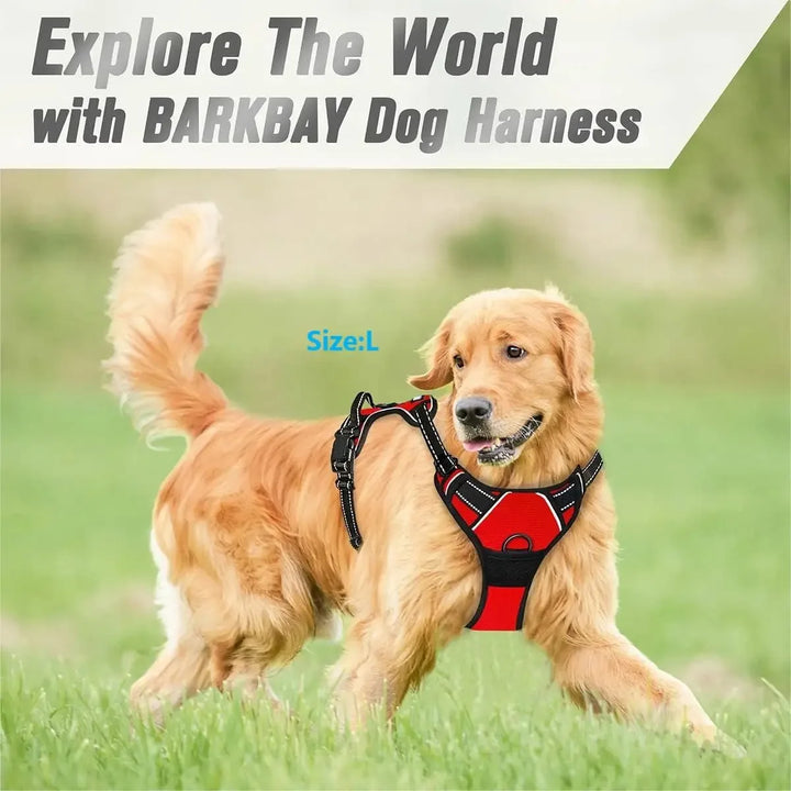 Dog Collars Harnesses Large Vests Pet Leash