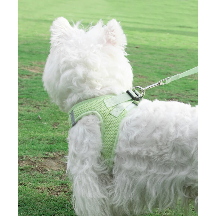 Dog Cat Collar with Leash, Breathable Waffle Pet Vest