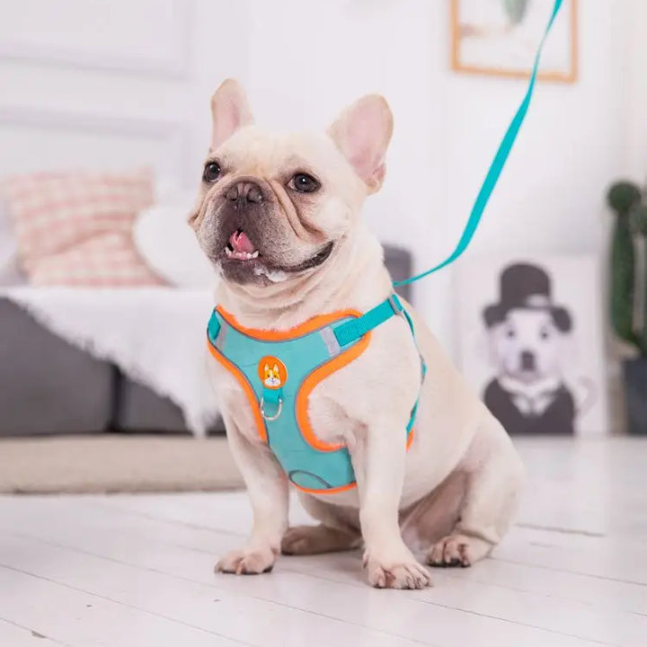 Adjustable No Pull Pet Reflective Dog Harness Lead Walking Running Leashes Cat Chest Strap Vest Leash