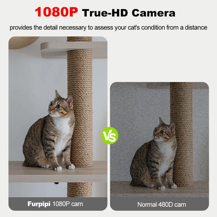 Furpipi 8L Smart Automatic Cat Feeder – Camera