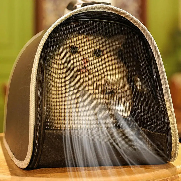 Cat Transport Bag – Transparent Bubble Backpack 🎒