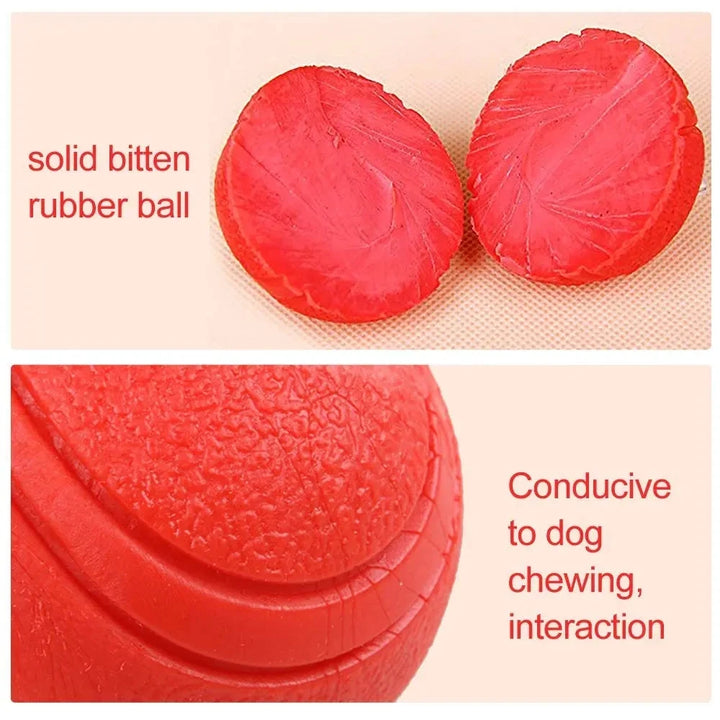 Bite Resistant Bouncy Dog Toy (S-XL)