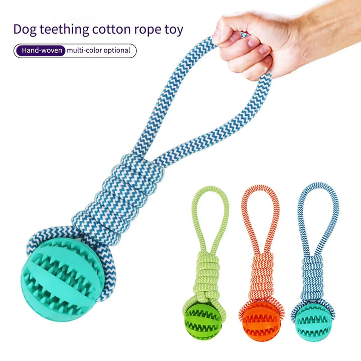 Pet Tooth Cleaning Chewing IQ Treat Ball – Dispenser