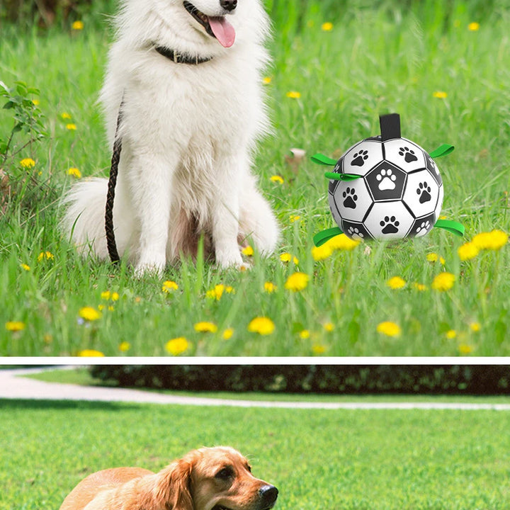 Interactive Soccer Ball for Dogs – High Jumping Fun for Pets