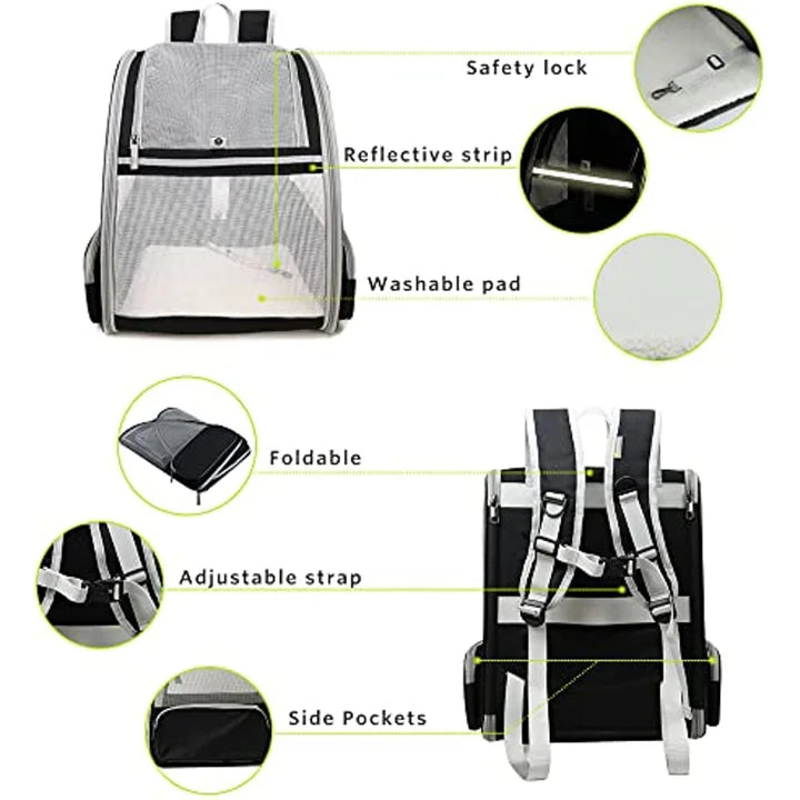 Innovative Bubble Shaped Travel Backpack – Carrier