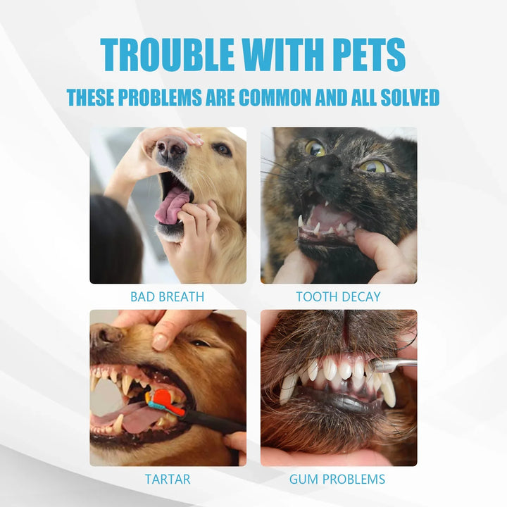 Toothpaste for dogs and cats – tooth cleaning paste