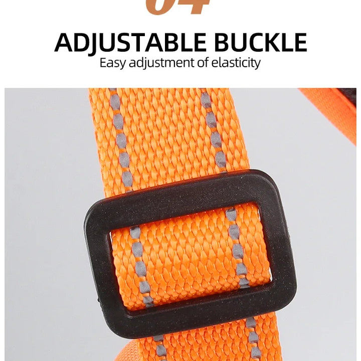 Pet Harness, Multifunctional Harness