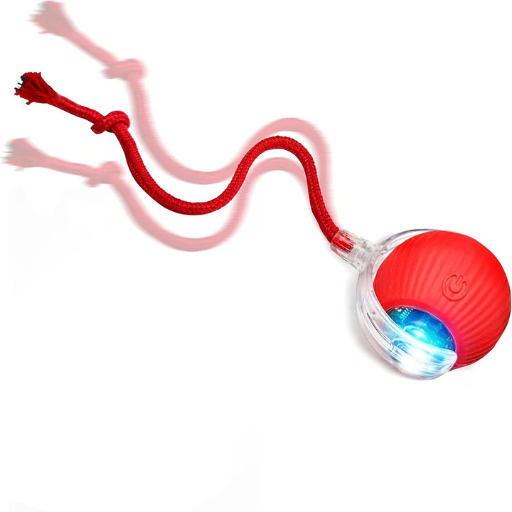 Interactive Cat Toy Ball – Automatic Rolling Magic Ball