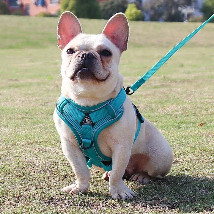 No Pull Dog Harness and Leash Set Adjustable Pet Harness Vest For Small Dogs Cats Reflective Mesh Dog Chest Strap French Bulldog