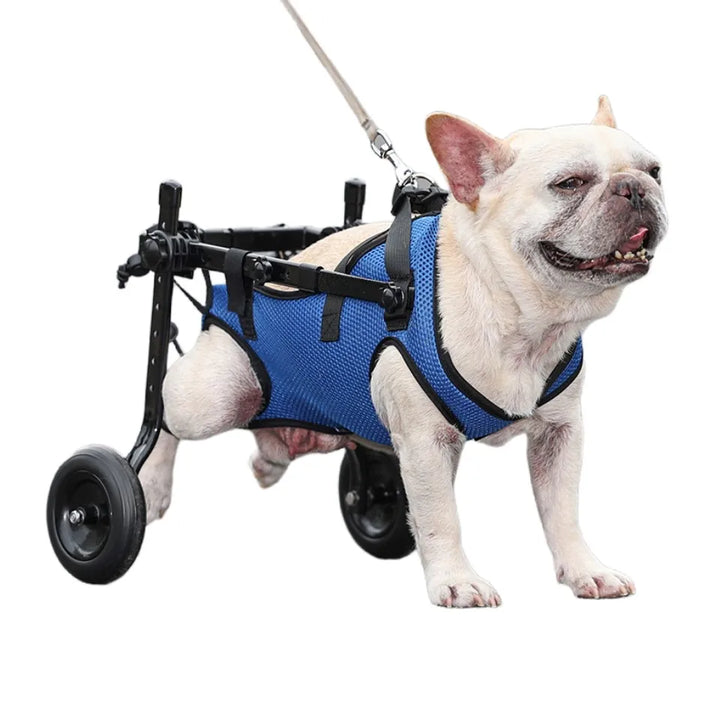 Pet Wheelchair Stroller Pet Mobility Aids