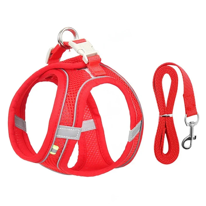 Stylish adjustable harness kit for small dogs