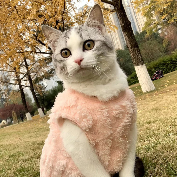 Cat Fleece Sweatshirt Autumn Winter Warm Clothes For Small Medium Dogs Cats Kitten Outdoor Jacket Coat Pet Chihuahua Sweater