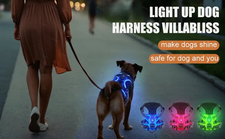 LED Light Up Dog Harness No Pull Adjustable Rechargeable Pet Vest Harness Small Medium Large Dogs Outdoor Walking Pet Supplies