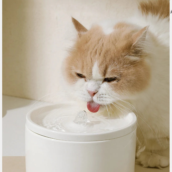 Ultra-quiet automatic water dispenser for pet cats