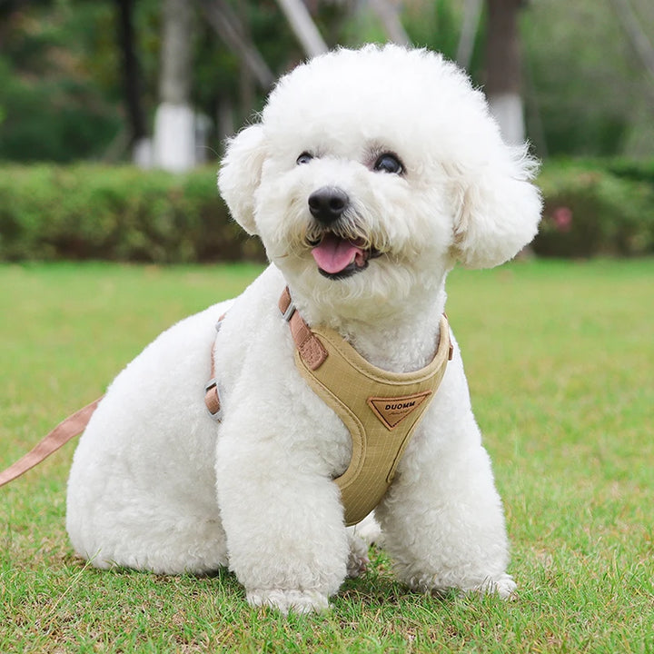 Collar and harness set for small and medium dogs