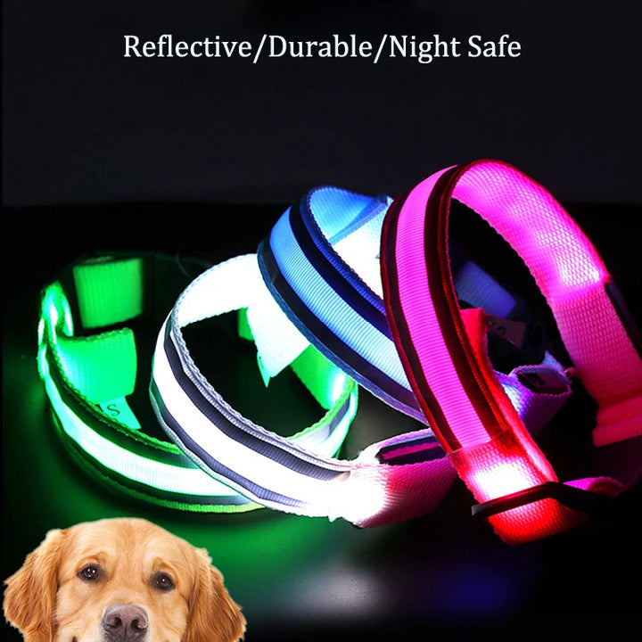 USB Rechargeable/Button Battery Dog Collar Light Luminous Flashing Glowing Nylon Reflective LED Dog Collar Night Safety For Cats