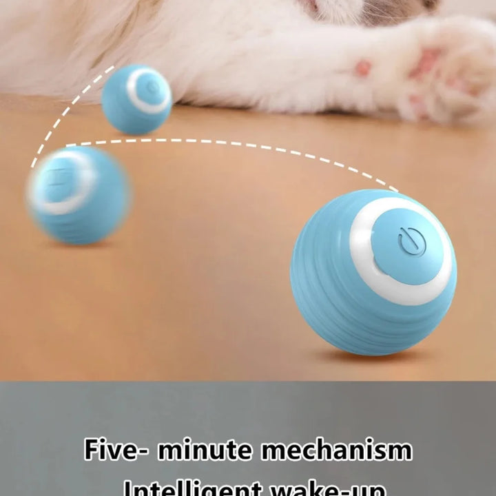 Smart Interactive Ball for Cats – Electronic Magic Ball