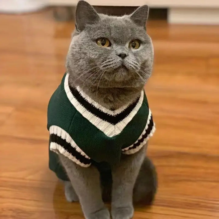 Pet Solid Costume  Cat Clothes Autumn Winter Jacket Christmas Sweater for Small Dog Cats Kitten Clothing Puppy Vest Kitty Outfit