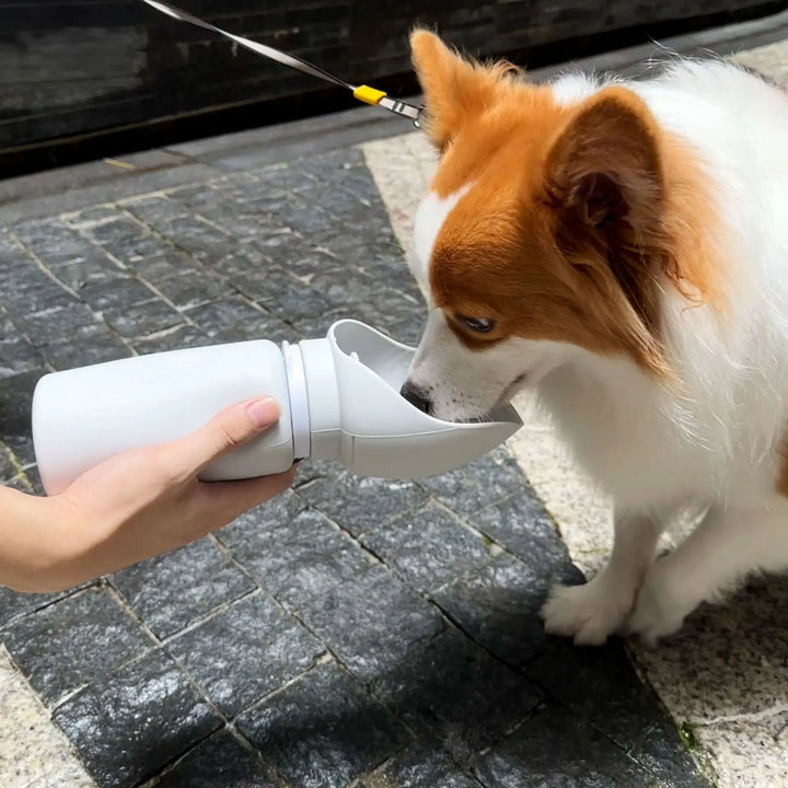 Portable Foldable Pet Water Cup – Perfect for Adventures