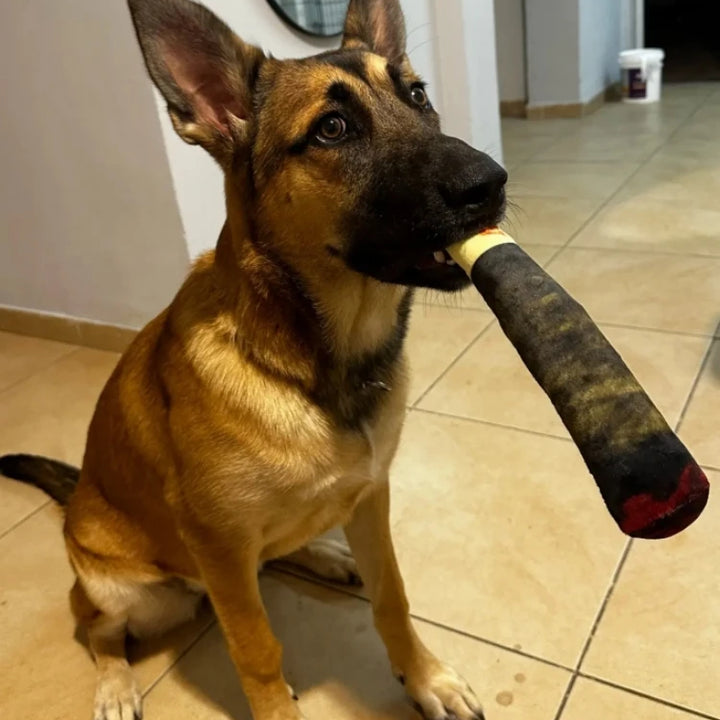 Indestructible Cigar Toy That Makes Noise –