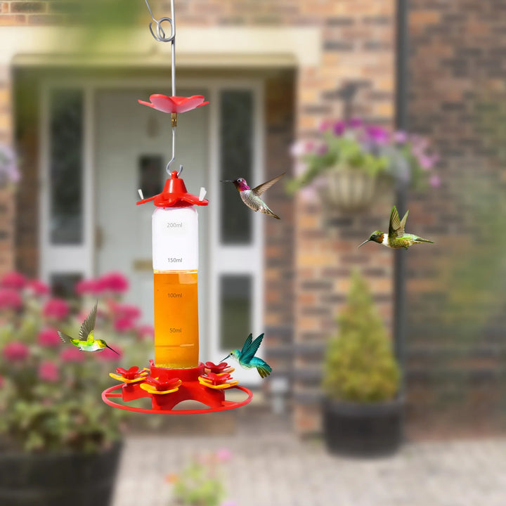 Bird Feeder – Leak-Proof Hanging Hummingbird Feeder