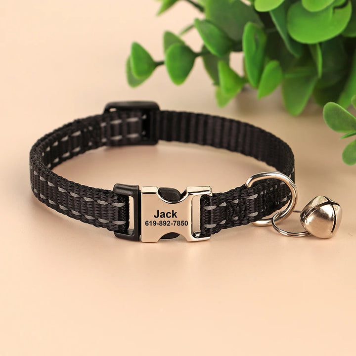 Personalized cat collar for puppies, adjustable