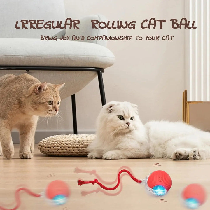 Interactive Cat Toy Ball – Automatic Rolling Magic Ball