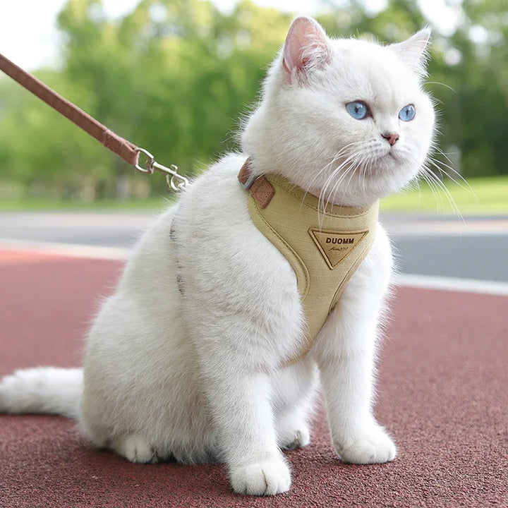 Collar and harness set for small and medium dogs