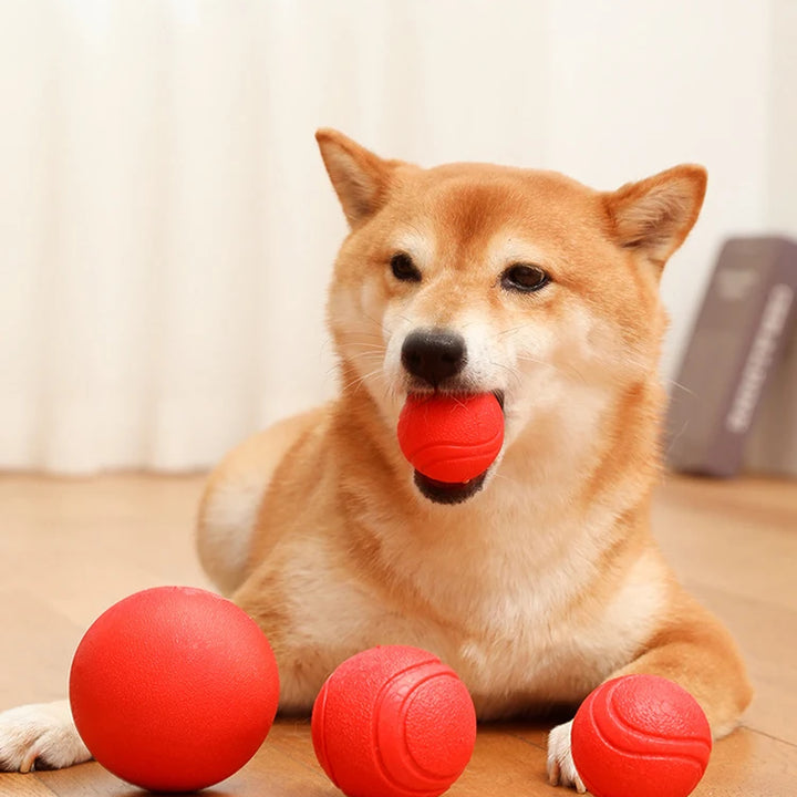 Bite Resistant Bouncy Dog Toy (S-XL)