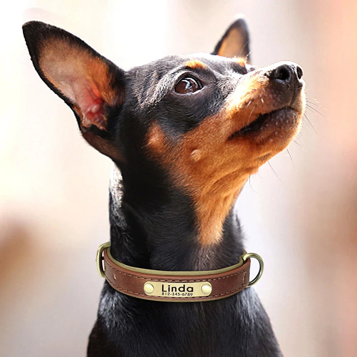 Custom Leather Dog Collar, Soft Leather Dog Collar