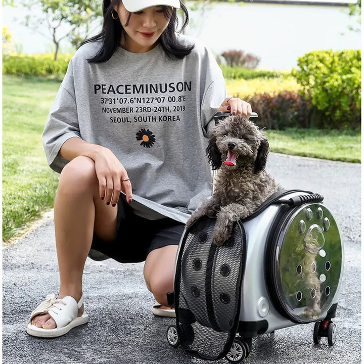 Breathable Bubble Pet Stroller Carrier Backpack