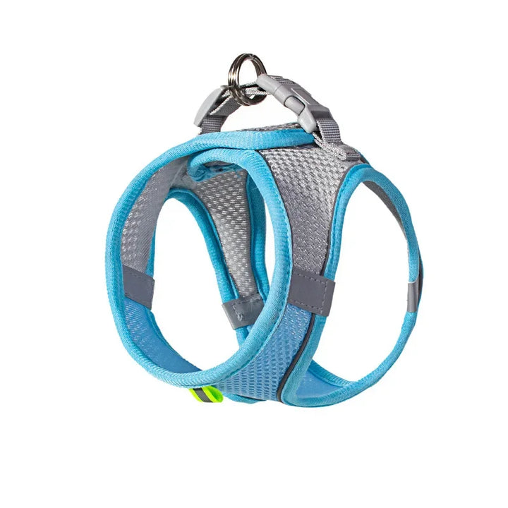 Stylish adjustable harness kit for small dogs