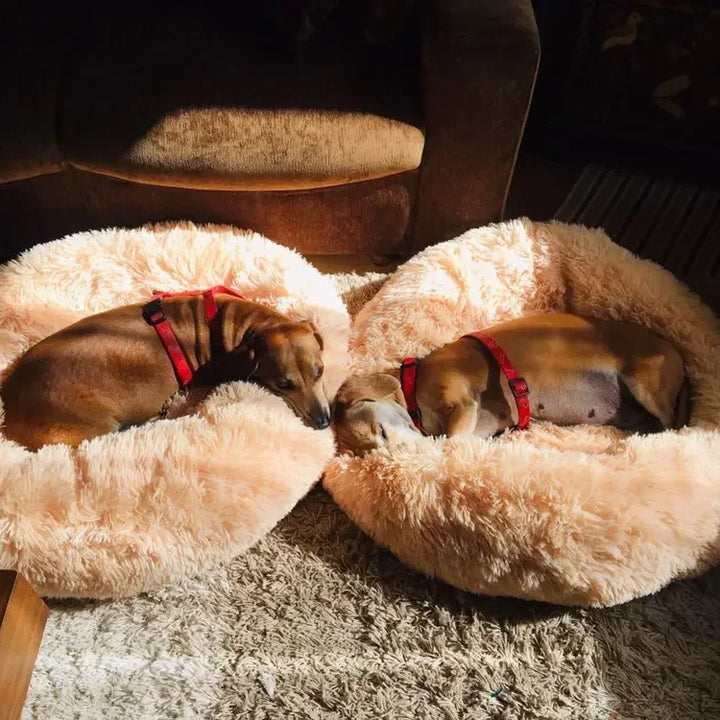 🐾 Round Plush Dog and Cat Bed – Donut Mat