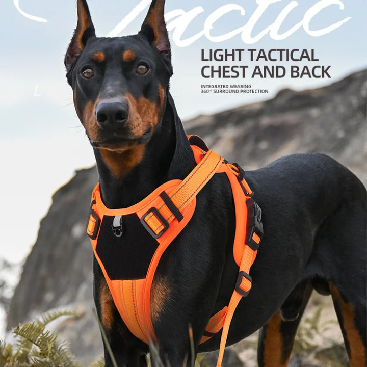 Pet Harness, Multifunctional Harness