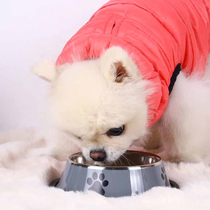 Stainless Steel Pet Bowl – Durable Food Bowl