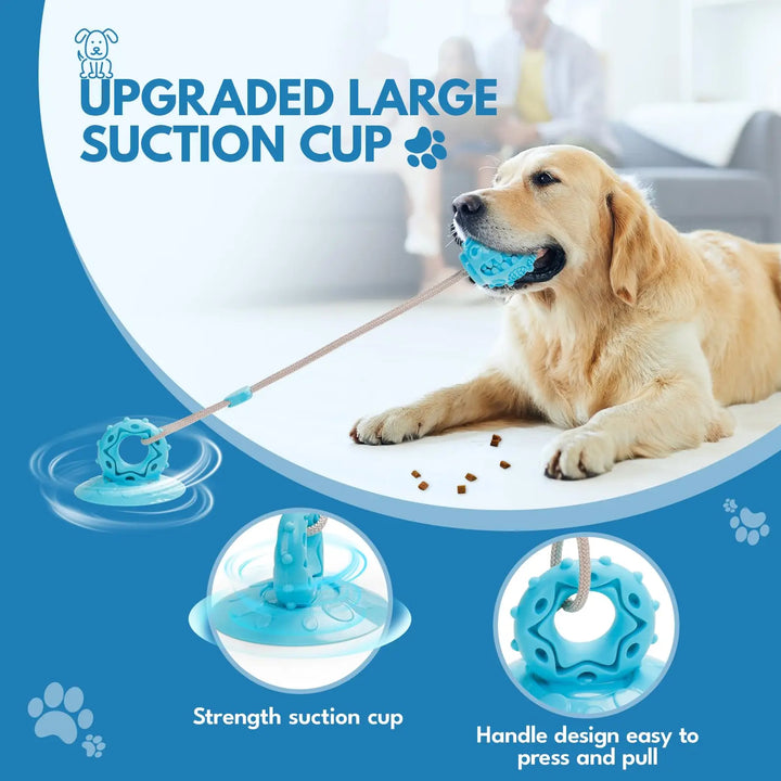 Suction Cup Tug Toy – The Ultimate Chew and Tug Game