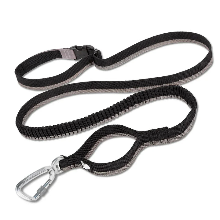 Truelove Pet Running Bungee Leash Hands Free