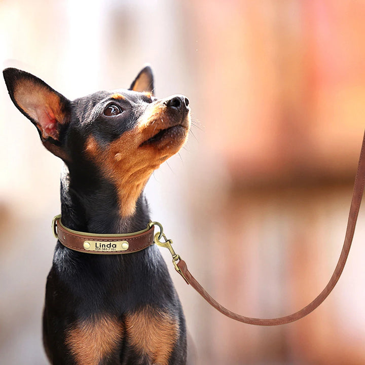 Personalized Leather Dog Leash Set with ID Tag