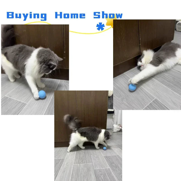 Smart Interactive Cat Ball - Electronic Rolling Toy