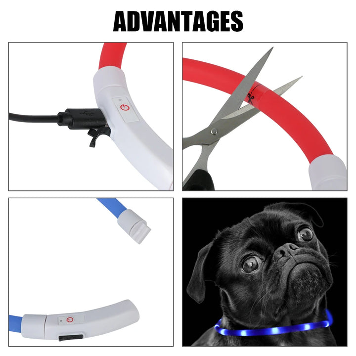 Night Luminous LED USB Charging Collar Dog Collar