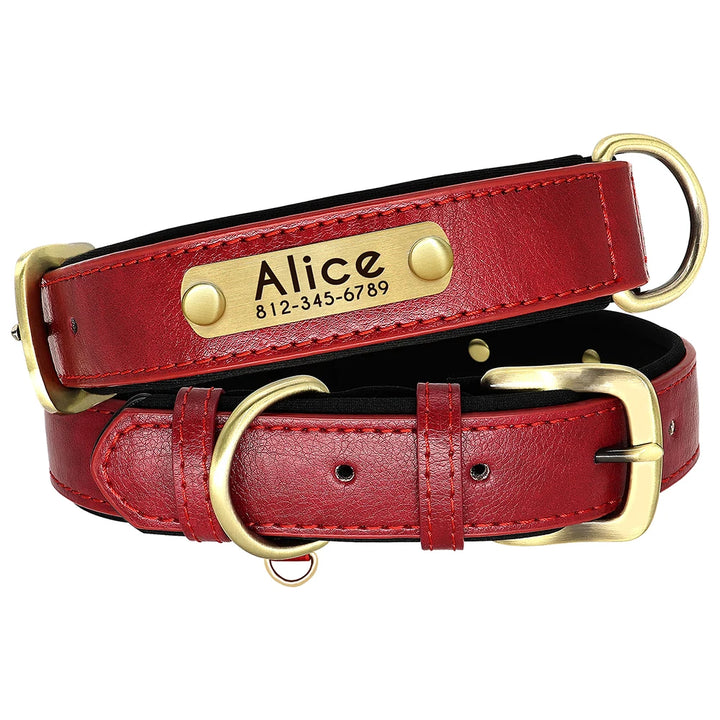 Personalized Leather Dog Leash Set with ID Tag