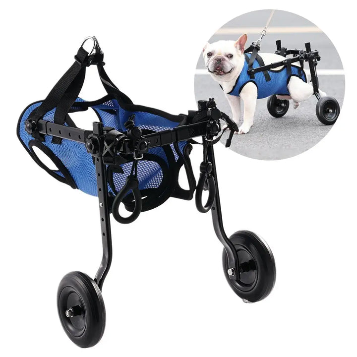 Wheelchair for small dogs Adjustable dog wheelchairs