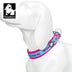 Truelove Pet Collar – Safety and Comfort for Your Pet!