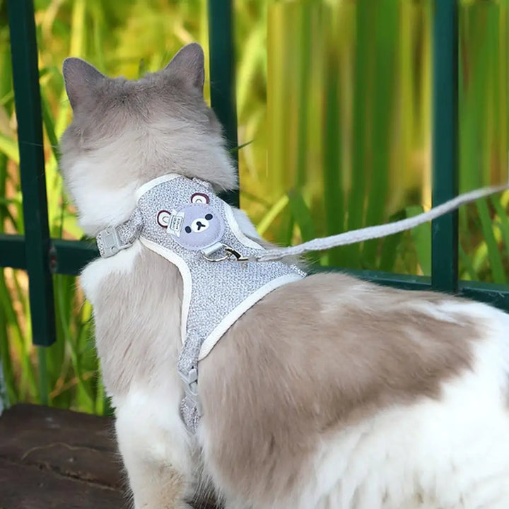 Comfortable harness and leash for small pets