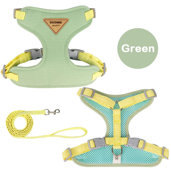 Collar and harness set for small and medium dogs